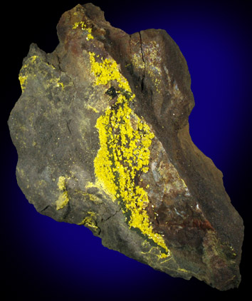 Tyuyamunite from Ridenaur Mine, Prospect Canyon District, Coconino County, Arizona
