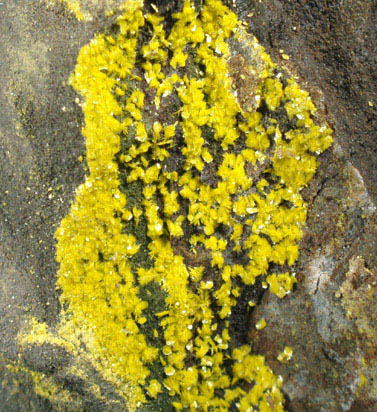 Tyuyamunite from Ridenaur Mine, Prospect Canyon District, Coconino County, Arizona