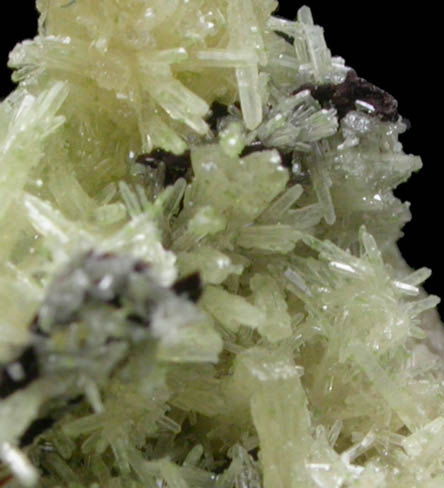 Mimetite from Tsumeb Mine, Otavi-Bergland District, Oshikoto, Namibia