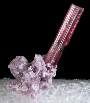 Elbaite var. Rubellite Tourmaline with Lepidolite from Cruzeiro Mine, Minas Gerais, Brazil