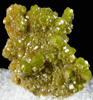 Pyromorphite from Bunker Hill, Coeur d'Alene District, Shoshone County, Idaho