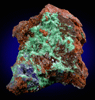 Cuprite with Malachite and Azurite from Zacatecas, Mexico