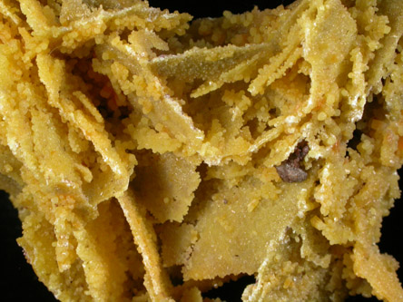 Mimetite pseudomorphs after Wulfenite from San Francisco Mine, Cerro Prieto, north of Cucurpe, Sonora, Mexico