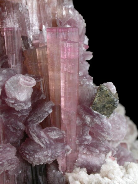 Microlite on Elbaite var. Rubellite Tourmaline with Lepidolite from Nuristan Province, Afghanistan