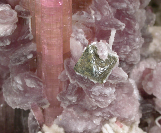 Microlite on Elbaite var. Rubellite Tourmaline with Lepidolite from Nuristan Province, Afghanistan