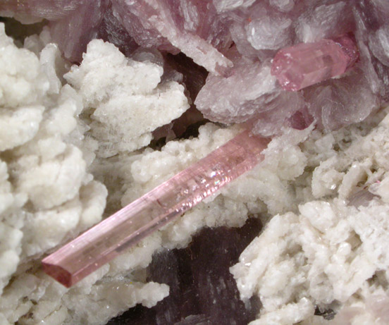 Microlite on Elbaite var. Rubellite Tourmaline with Lepidolite from Nuristan Province, Afghanistan