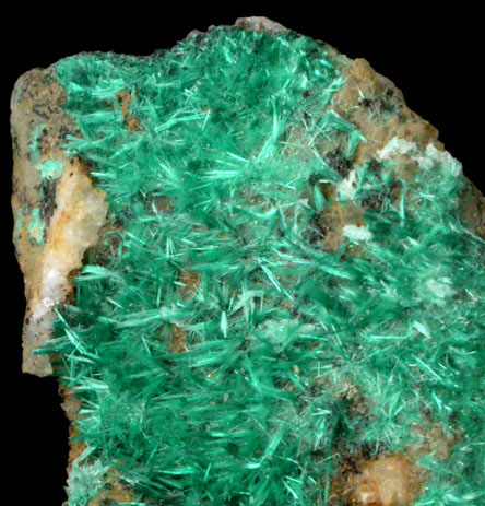 Brochantite var. Blanchardite from Blanchard Mine, Hansonburg District, 8.5 km south of Bingham, Socorro County, New Mexico (Type Locality for Blanchardite)