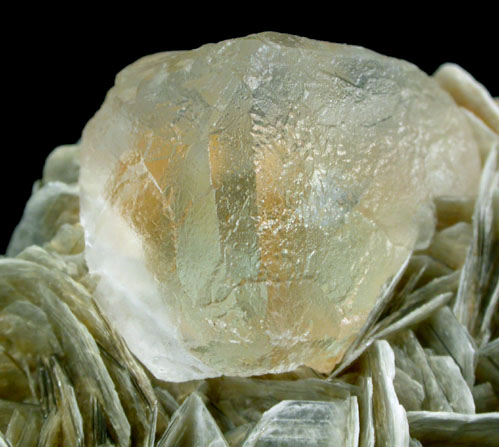 Fluorite on Muscovite from Nagar, Gilgit-Baltistan, Pakistan