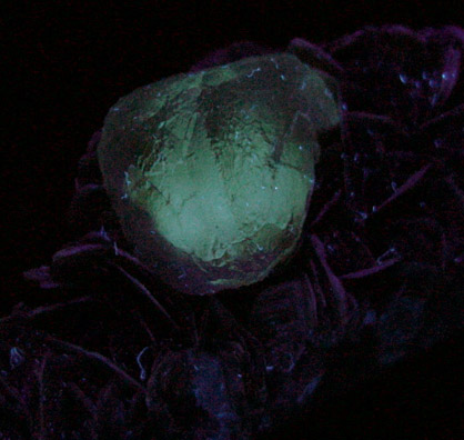 Fluorite on Muscovite from Nagar, Gilgit-Baltistan, Pakistan