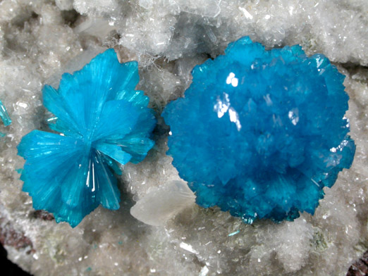 Cavansite on Stilbite-Ca from Wagholi Quarry, Maharashtra, India