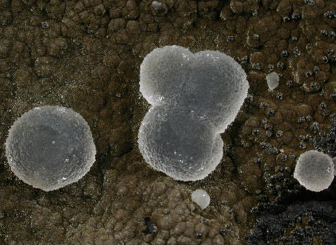 Quartz var. Chalcedony from Pathardy Quarry, Nashik District, Maharashtra, India