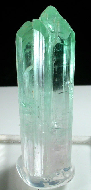 Elbaite Tourmaline from Nuristan Province, Afghanistan