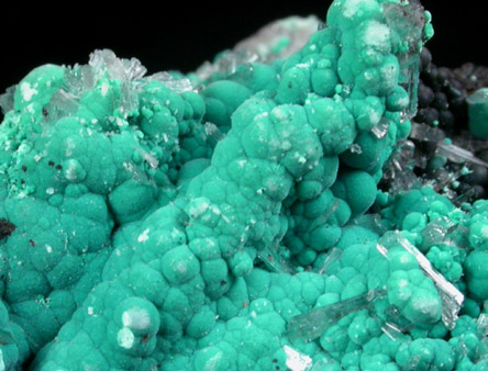 Rosasite with Hemimorphite from 79 Mine, Banner District, near Hayden, Gila County, Arizona