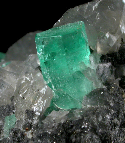 Beryl var. Emerald on Calcite from Polveros Mine, Vasquez-Yacopi District, Colombia