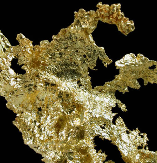 Gold from Mockingbird Mine, Mariposa County, California
