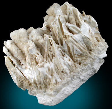 Brushite pseudomorphs after unknown with Carbonate-Whitlockite from Table Mountains, Curaao, Netherlands Antilles