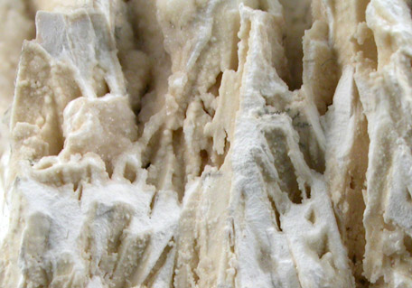Brushite pseudomorphs after unknown with Carbonate-Whitlockite from Table Mountains, Curaçao, Netherlands Antilles
