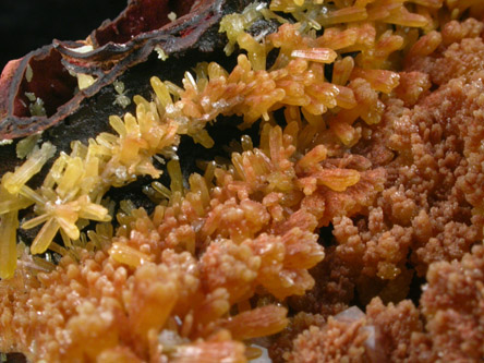 Mimetite from Aquiles Serdan, Chihuahua, Mexico