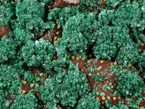 Malachite from Ahouli Mines, Aouli, 7 km northeast of Mibladen, Zeida-Aouli-Mibladen belt, Midelt Province, Morocco