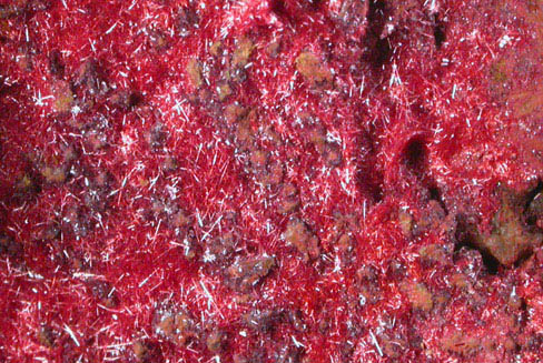 Cuprite var. Chalcotrichite on Copper from Globe-Miami District, Gila County, Arizona