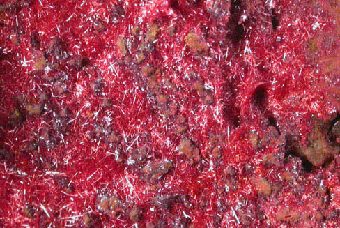 Cuprite var. Chalcotrichite on Copper from Globe-Miami District, Gila County, Arizona