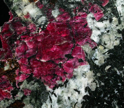 Eudialyte from Khibiny Massif, Kola Peninsula, Murmanskaja Oblast', Northern Region, Russia