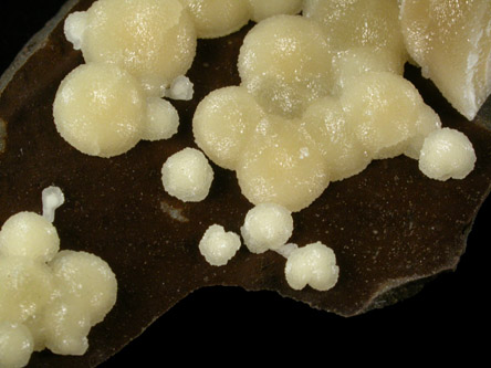 Calcite from Mina Montalto di Castro, Toscana, Italy