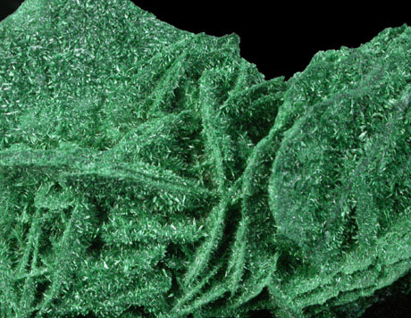 Malachite pseudomorphs after Barite from Dikuluwe Mine, 155 WNW of Lubumbashi, Katanga Copperbelt, Lualaba Province, Democratic Republic of the Congo