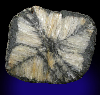 Andalusite var. Chiastolite from Khibiny Massif, Kola Peninsula, Murmanskaja Oblast', Northern Region, Russia