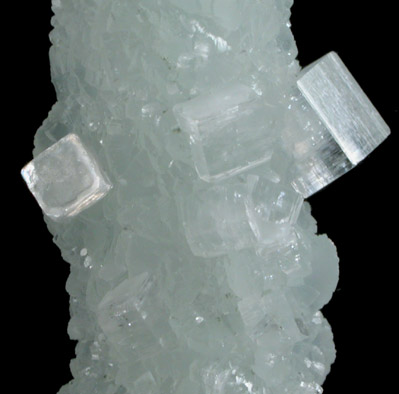 Apophyllite on Prehnite pseudomorphs after Laumontite from Padanvadi Quarry, Bombay, Maharashtra, India