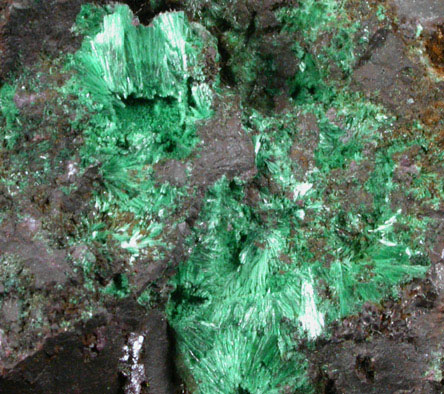 Cuprite with Malachite from Bisbee, Warren District, Cochise County, Arizona