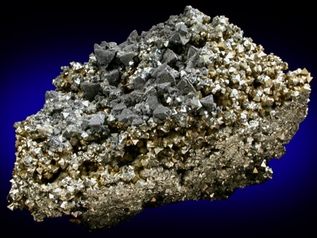 Freibergite on Pyrite from Animas Mine, Potosi, Bolivia