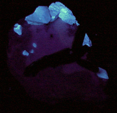 Neptunite with Benitoite and Natrolite from Benitoite Gem Mine, San Benito County, California (Type Locality for Benitoite)