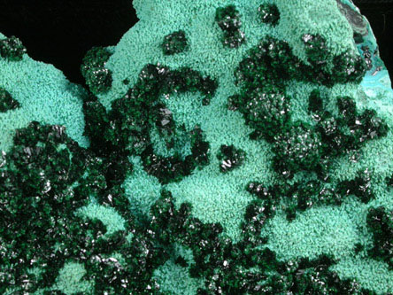 Malachite on Chrysocolla from Mashamba Mines, 10 km west of Kolwezi, Katanga Copperbelt, Lualaba Province, Democratic Republic of the Congo