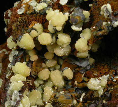 Mimetite from Aquiles Serdan, Chihuahua, Mexico