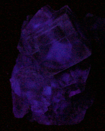 Fluorite with pink phantom and Chalcopyrite inclusions from Nikolaevskiy Mine, Dalnegorsk, Primorskiy Kray, Russia