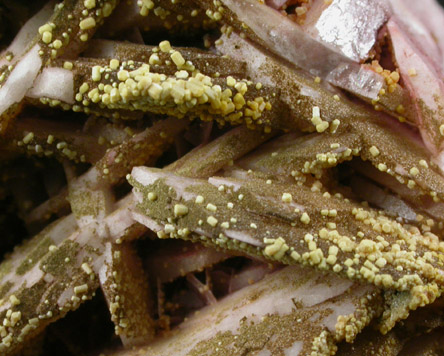 Pyromorphite on Barite from Rowley Mine, 20 km northwest of Theba, Painted Rock Mountains, Maricopa County, Arizona