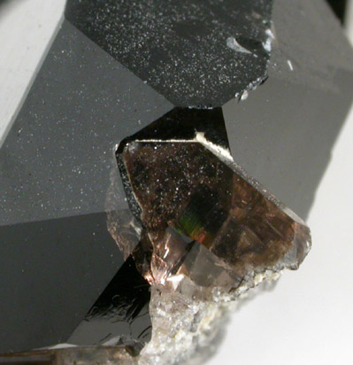 Quartz var. Smoky from St. Gotthard, Kanton Uri, Switzerland