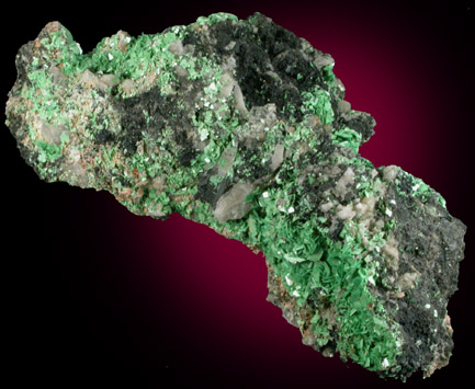 Torbernite from Tolcarne Mine, west of St. Day, Cornwall, England