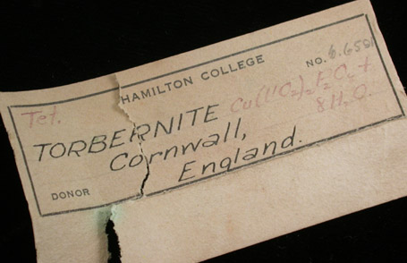 Torbernite from Tolcarne Mine, west of St. Day, Cornwall, England