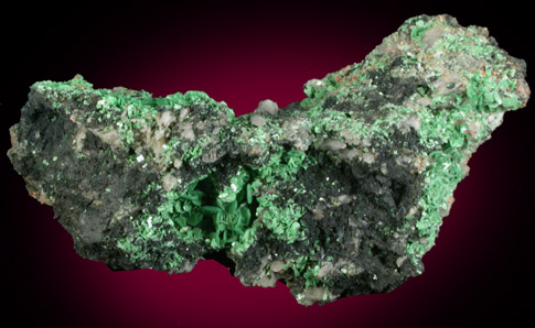 Torbernite from Tolcarne Mine, west of St. Day, Cornwall, England