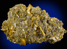 Wulfenite and Mimetite from Cerro Prieto (San Francisco Mine), Sonora, Mexico