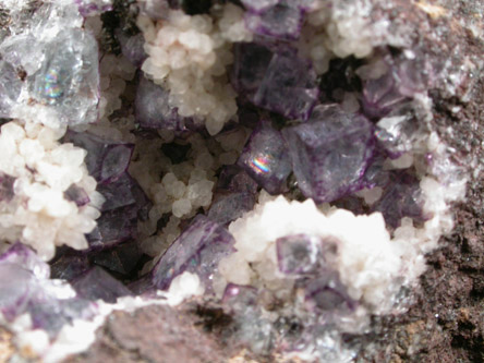 Fluorite, Calcite, Quartz, Siderite from Cornwall, England