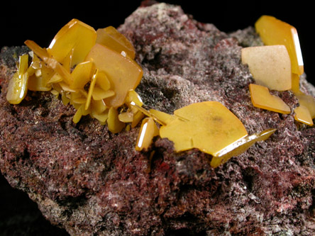 Wulfenite from Defiance Mine, Courtland-Gleeson District, Cochise County, Arizona