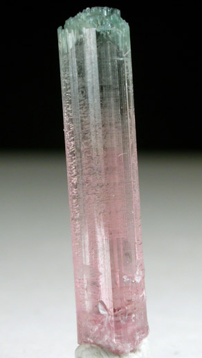 Elbaite Tourmaline from Mount Mica Quarry, Paris, Oxford County, Maine