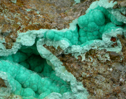 Ajoite from New Cornelia Mine, Ajo, Pima County, Arizona (Type Locality for Ajoite)