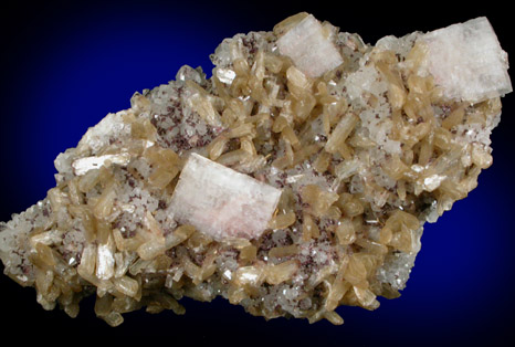 Heulandite-Ca, Stilbite, Quartz, Albite from Upper New Street Quarry, Paterson, Passaic County, New Jersey