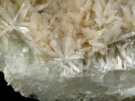 Pectolite on Datolite from Millington Quarry, Bernards Township, Somerset County, New Jersey