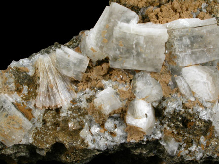 Heulandite-Ca, Pectolite, Stilbite from Braen's Quarry, Haledon, Passaic County, New Jersey