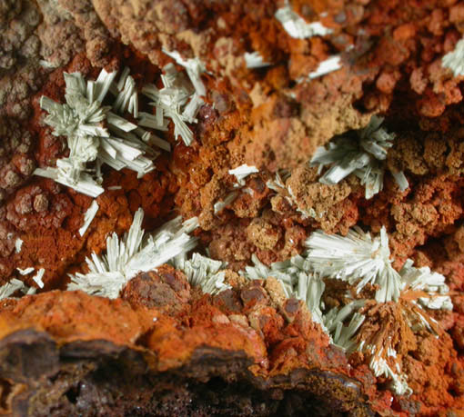 Kttigite from Mina Ojuela, Mapimi, Durango, Mexico